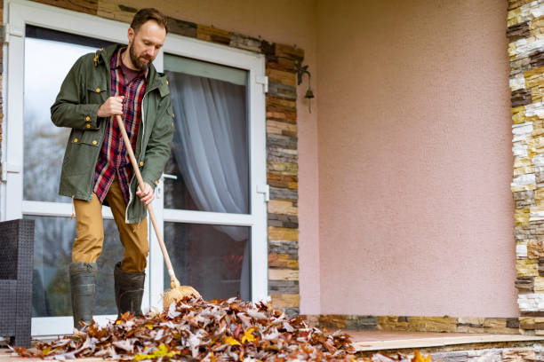 Best Full-Service Junk Removal  in Washington, WV